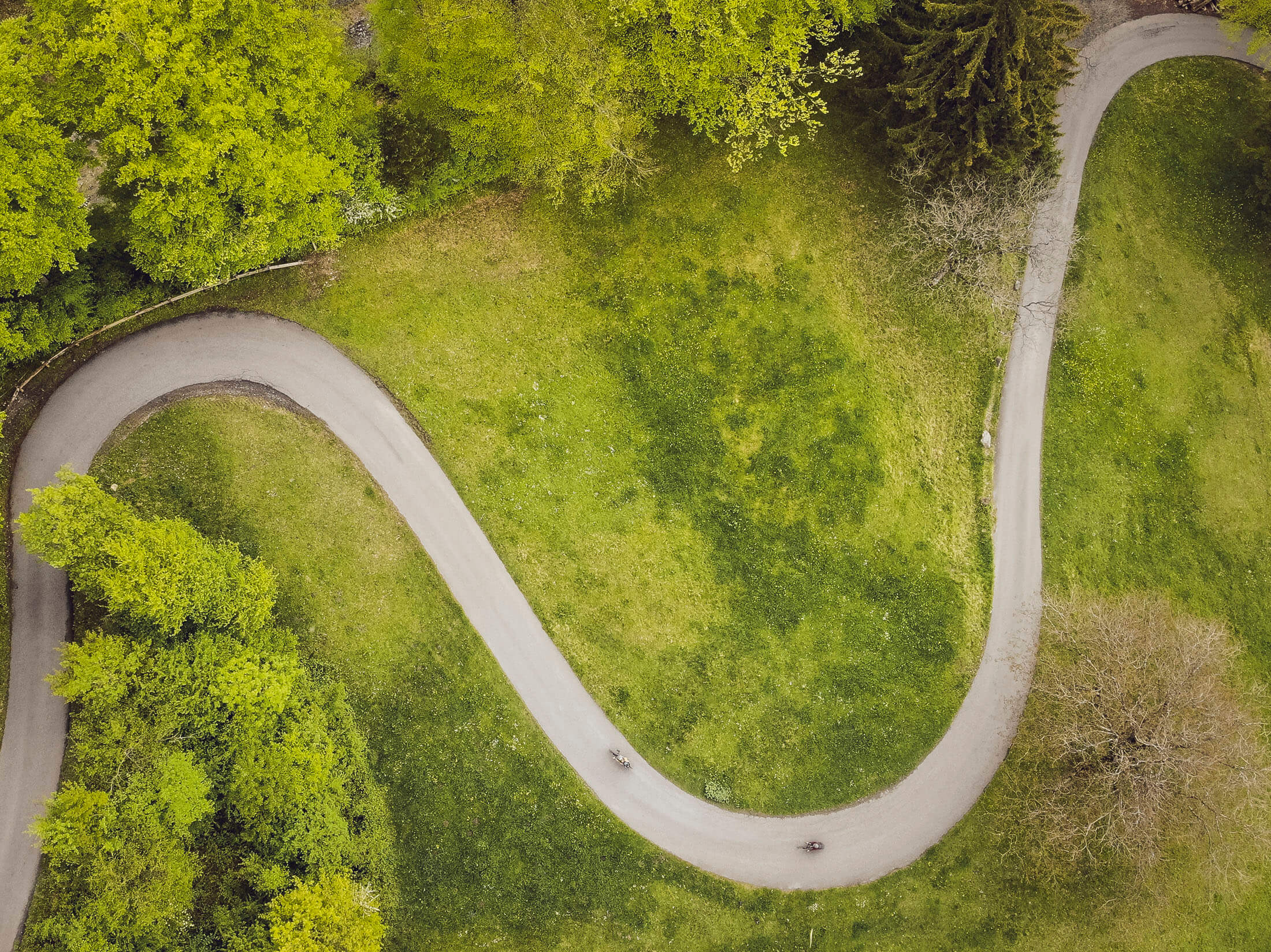 Liechtenstein: ein Land – ein Radweg © Miriam Mayer Luftaufnahme eines geschwungenen Wegs durch grünen Park mit Bäumen