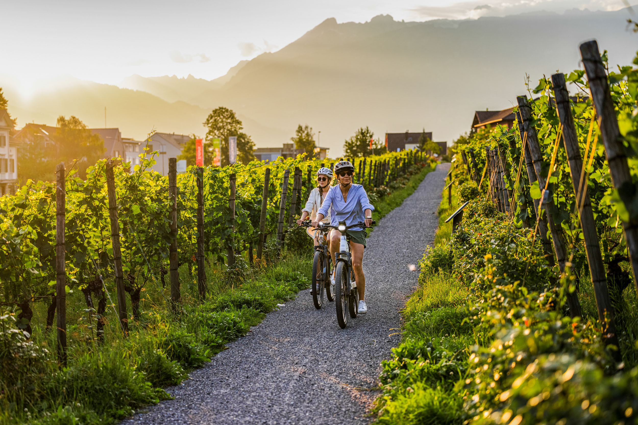 Liechtenstein: ein Land – ein Radweg © Christoph Schöch Zwei Radfahrer fahren durch Weinberge bei Sonnenuntergang